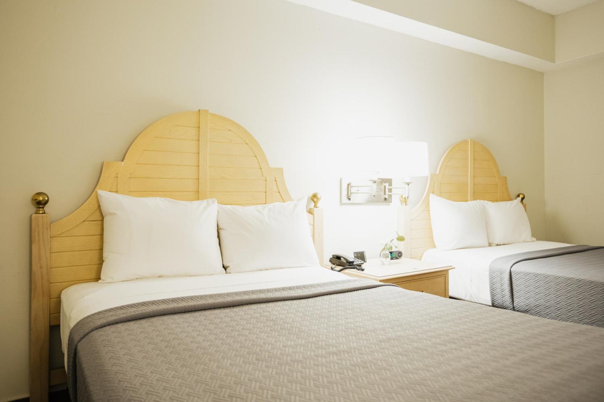 Hotel Parque Central Monterrey Dış mekan fotoğraf